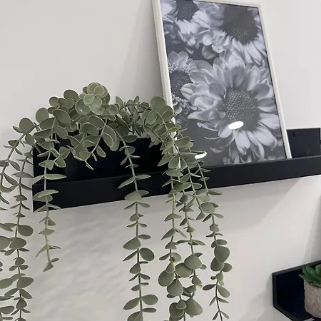 Apartment Daisy White