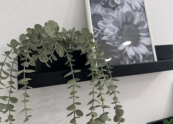 Апартаменты Daisy White